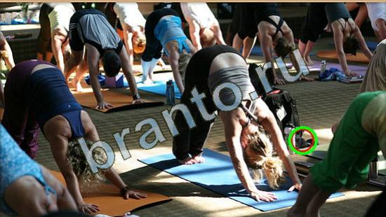 Прохождение игры Где же кот Уровень 3784