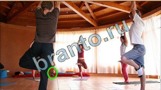 ответы Где же кот Уровень 3785