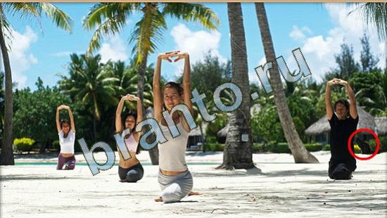 ответы Где же кот? в одноклассниках Уровень 3786