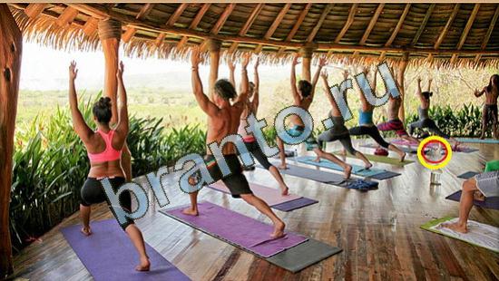 Где же кот игра ответы Уровень 3789