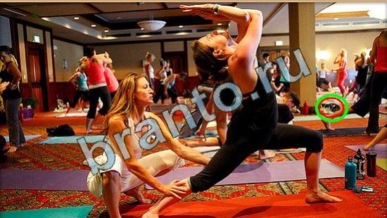 игра в одноклассниках Где же кот ответы Уровень 3790