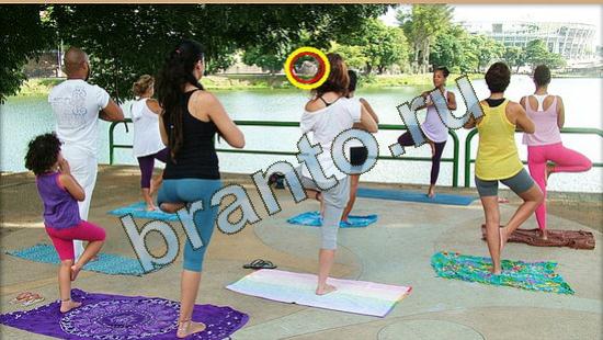 ответы на игру Где же кот в скриншотах Уровень 3792