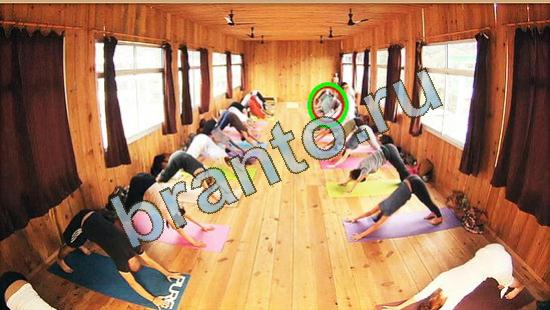 Где же кот ответы на новые задания Уровень 3793