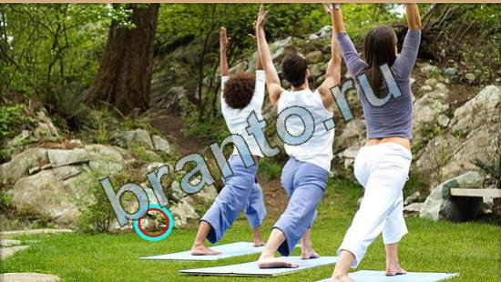 ответы на игру Где же кот Уровень 3796