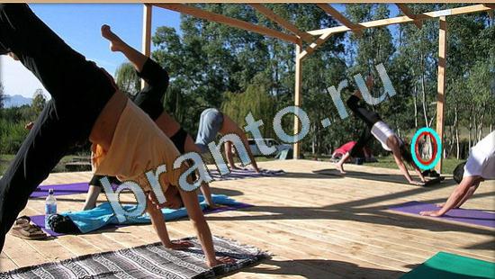 ответы в картинках на игру Где же кот Уровень 3797