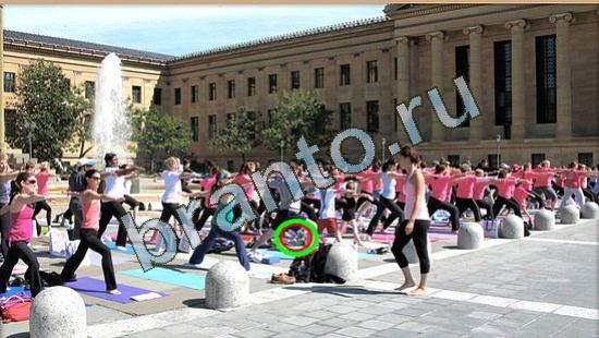 Где же кот игра ответы Уровень 3800