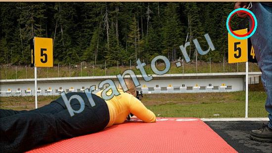 відповіді на игру Где же кот в одноклассниках Уровень 4023