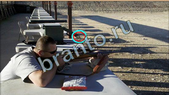 Прохождение игры Где же кот Уровень 4024