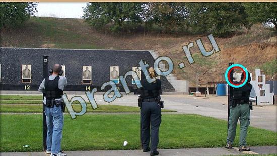 ответы Где же кот Уровень 4025