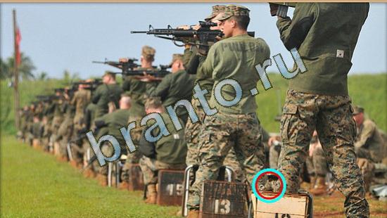 ответы Где же кот? в одноклассниках Уровень 4026