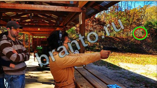 игра в одноклассниках Где же кот ответы Уровень 4030