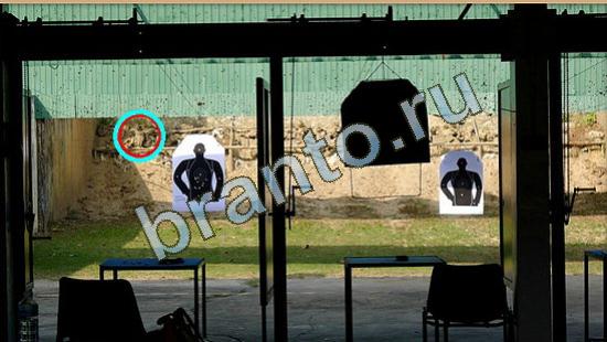 Где же кот помощь в картинках Уровень 4031