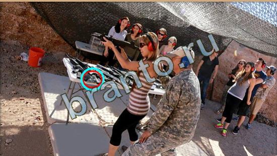 Где же кот ответы на новые задания Уровень 4033