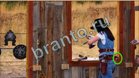 ответы на игру Где же кот Уровень 4034