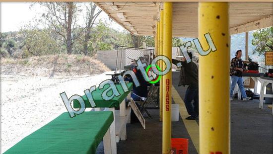 решения на игру Где же кот Уровень 4035