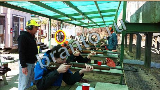 ответы на игру Где же кот Уровень 4036