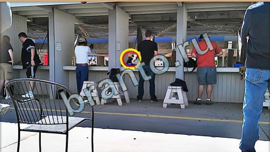 помощь на игру Где же кот Уровень 4038