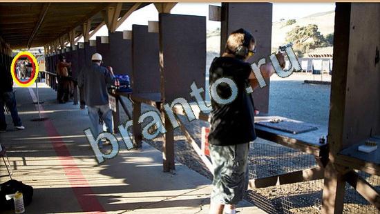 Где же кот игра ответы Уровень 4040