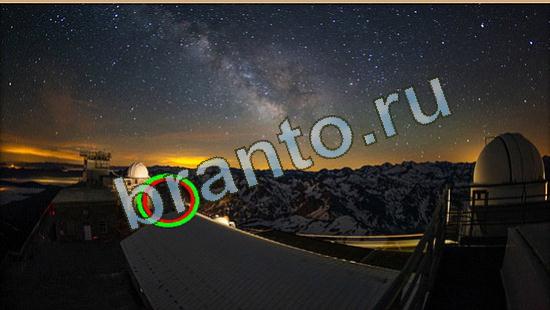 ответы на игру Где же кот Уровень 3921