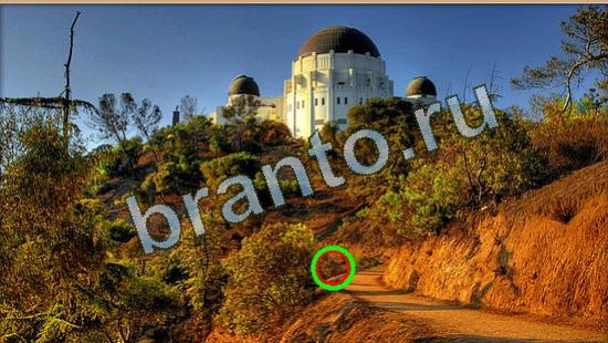 Помощь на игру Где же кот Уровень 3924