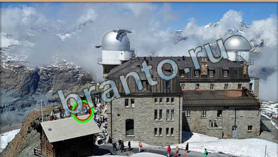 ответы к игре Где же кот Уровень 3925