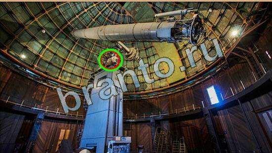 Где же кот игра ответы в одноклассниках Уровень 3927