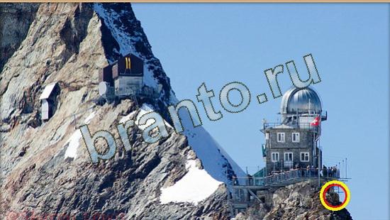 Где же кот? ответы Уровень 3928