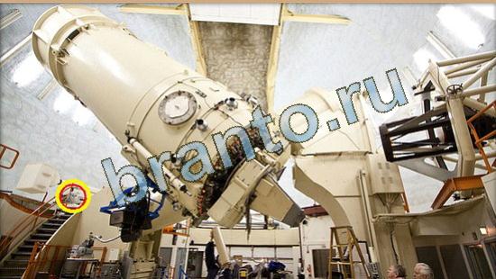 решебник на игру Где же кот Уровень 3931