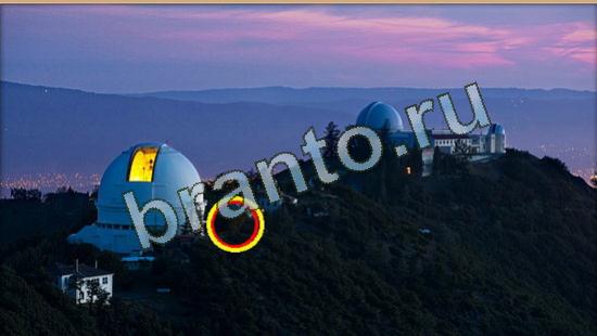 Где же кот? решения Уровень 3932