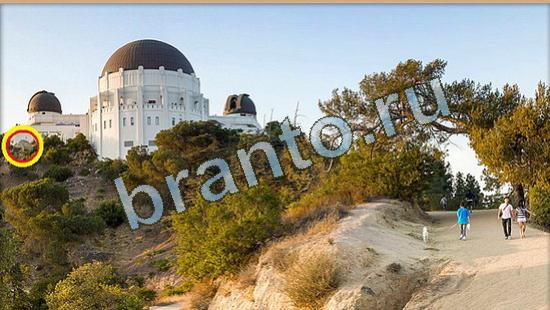 Где же кот игра ответы Уровень 3933