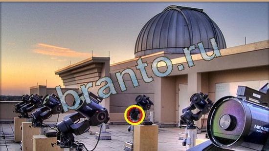 Где же кот игра помощь Уровень 3935