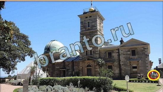 Игра Где же кот ответы Уровень 3937