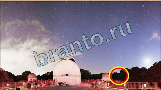 Игра Где же кот прохождение Уровень 3940