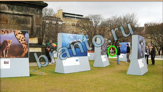 ответы Где же кот Уровень 3945