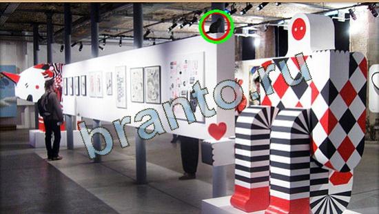 ответы Где же кот? в одноклассниках Уровень 3946