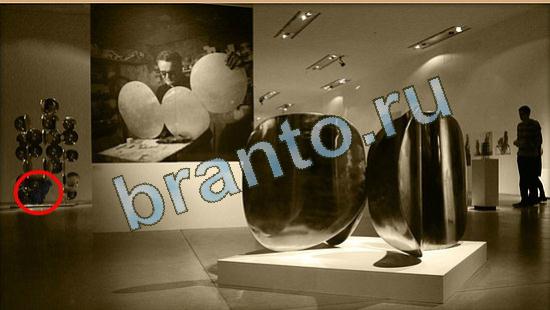 Где же кот ответы на новые задания Уровень 3953