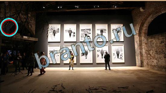 ответы в картинках на игру Где же кот Уровень 3957