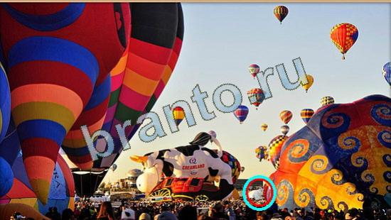 ответы к игре Где же кот Уровень 4085