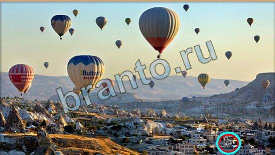 Где же кот? помощь Уровень 4090