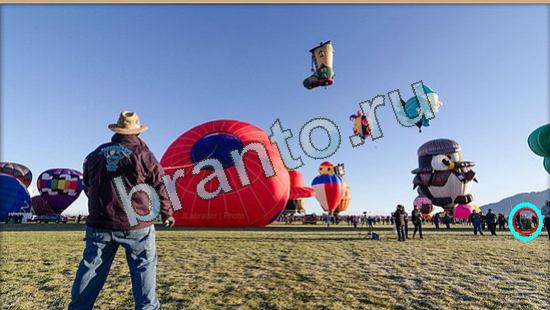 Игра Где же кот ответы Уровень 4097