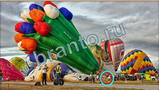 Игра Где же кот подсказки Уровень 4098