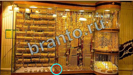 решения на игру Где же кот Уровень 4115