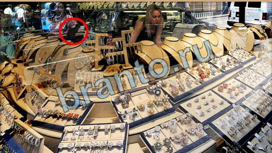 ответы на игру Где же кот Уровень 4116