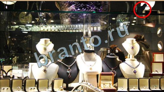 Где же кот ответы в одноклассниках Уровень 4119