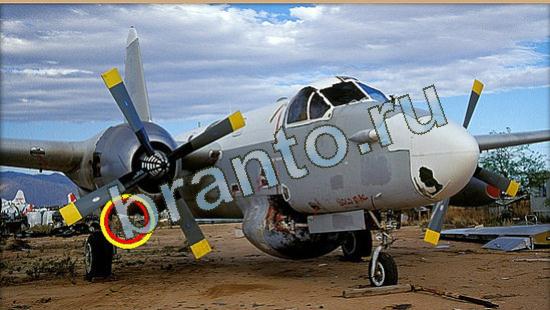 ответы на игру в одноклассниках Где же кот Уровень 4166