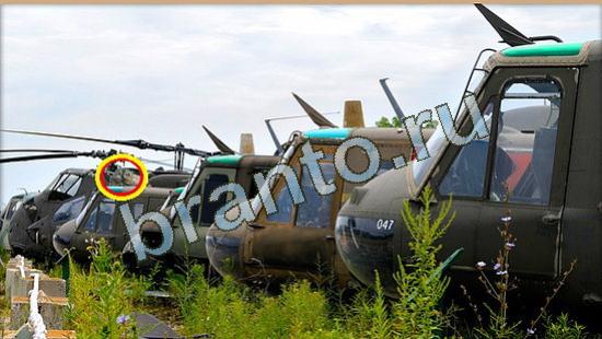 Где же кот игра ответы в одноклассниках Уровень 4167