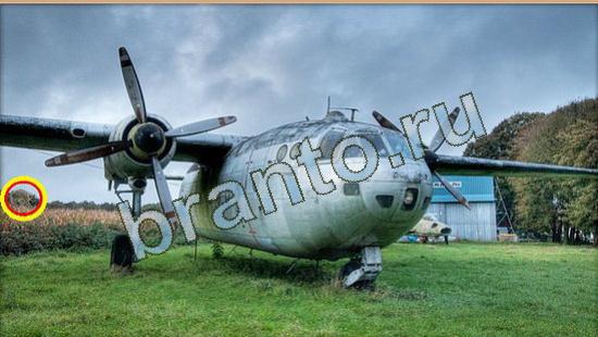 Где же кот? подсказки Уровень 4169