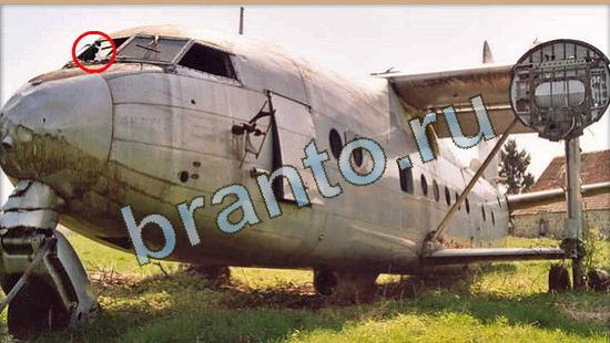 решебник на игру Где же кот Уровень 4171