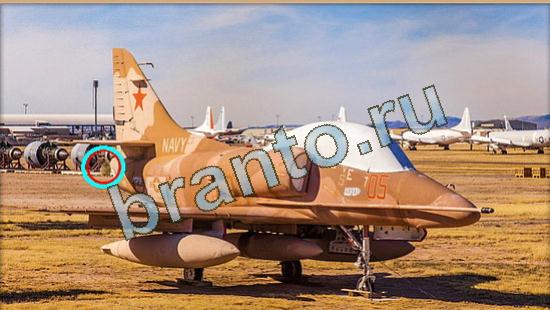 Где же кот? решения Уровень 4172