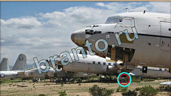 Где же кот игра помощь Уровень 4175